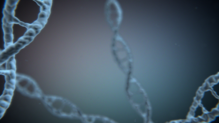 dna_intro_dna_intro_preview.jpg